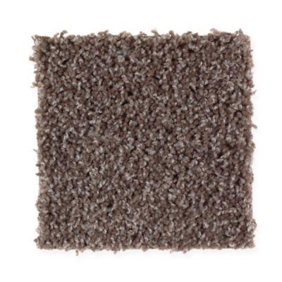 Carpet Level 1 Carpet Level 1