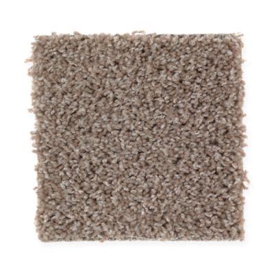 Carpet Level 1 Carpet Level 1