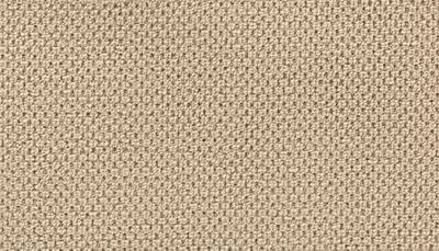 Carpet Level 1 Carpet Level 1