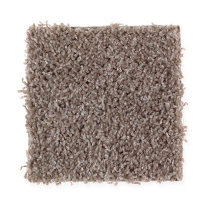 Carpet Level 1 Carpet Level 1