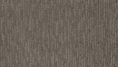 Carpet Level 2 Carpet Level 2