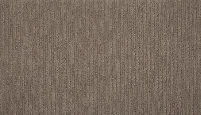 Carpet Level 2 Carpet Level 2