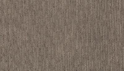 Carpet Level 2 Carpet Level 2