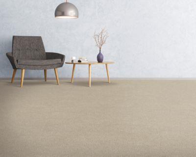 Carpet Level 3 Carpet Level 3