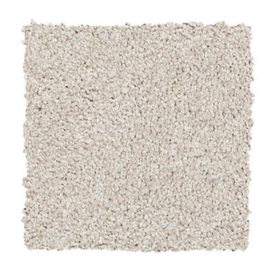 Carpet Level 4 Carpet Level 4