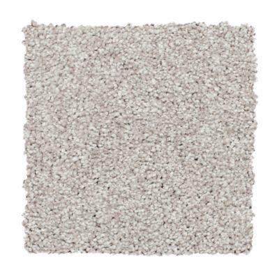 Carpet Level 4 Carpet Level 4