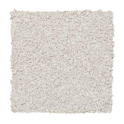 Carpet Level 4 Carpet Level 4