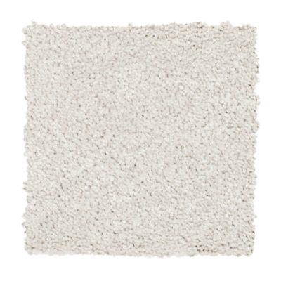 Carpet Level 4 Carpet Level 4