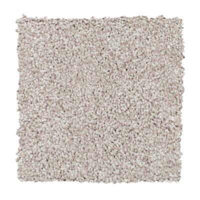 Carpet Level 4 Carpet Level 4