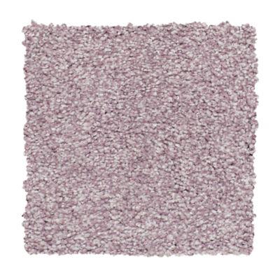 Carpet Level 4 Carpet Level 4