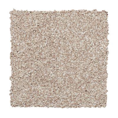 Carpet Level 4 Carpet Level 4