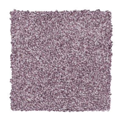 Carpet Level 4 Carpet Level 4