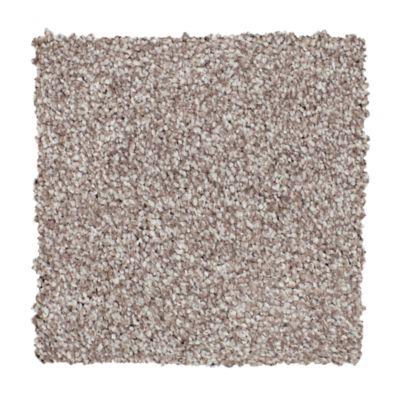 Carpet Level 4 Carpet Level 4