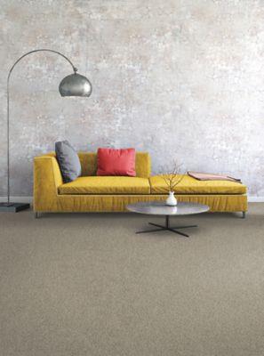 Carpet Level 4 Carpet Level 4