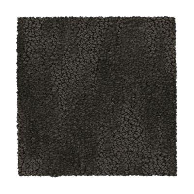 Carpet Level 5 Carpet Level 5