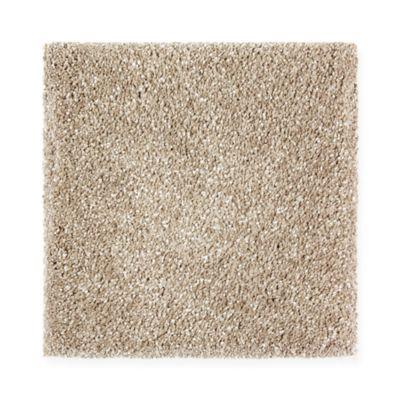 Carpet Level 5 Carpet Level 5