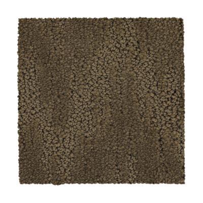 Carpet Level 5 Carpet Level 5