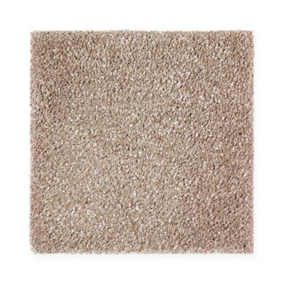 Carpet Level 5 Carpet Level 5