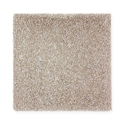 Carpet Level 5 Carpet Level 5