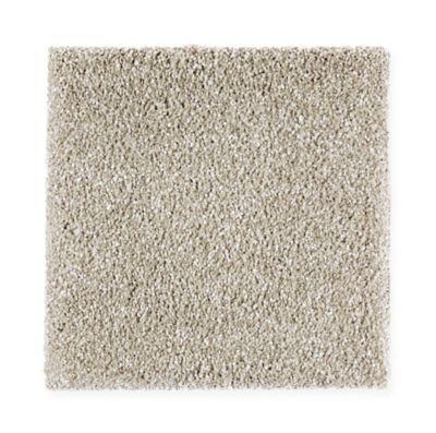 Carpet Level 5 Carpet Level 5