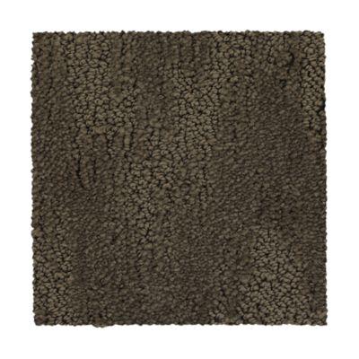 Carpet Level 5 Carpet Level 5