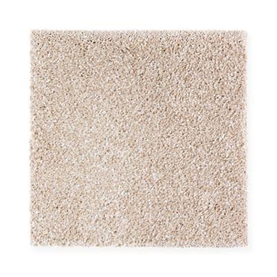 Carpet Level 5 Carpet Level 5