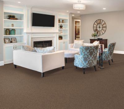 Carpet Level 5 Carpet Level 5