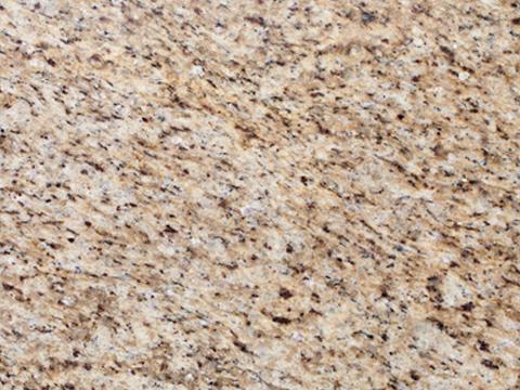 Granite Countertop Level 2 Granite Countertop Level 2