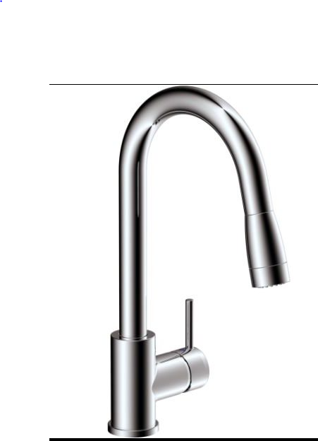 Kitchen Faucet Level 1