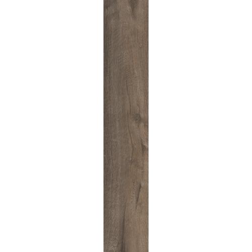 Transitional - Level 1 Transitional - Level 1