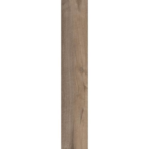 Transitional - Level 1 Transitional - Level 1