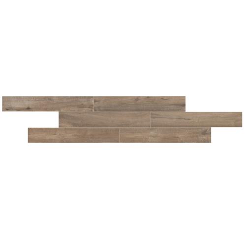 Transitional - Level 1 Transitional - Level 1