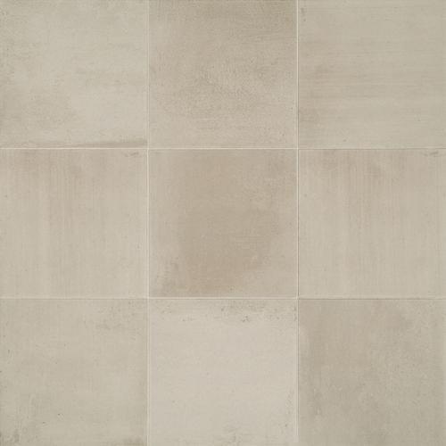 Transitional - Level 2 Transitional - Level 2